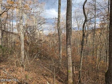 This property contains 28.25 acres +/-. A spring fed creek - photo 20