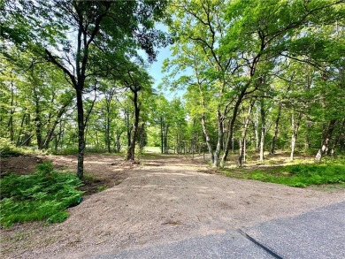 Lake Lot For Sale in Holcombe, Wisconsin