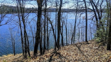 Lake Lot For Sale in Chetek, Wisconsin
