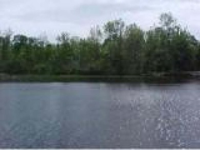 Lake Thompson Acreage For Sale in Rhinelander Wisconsin
