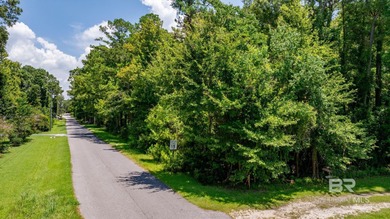Nestled in a quiet, natural setting in Point Clear, this lot - photo 3