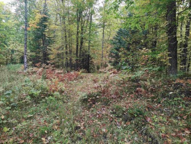 Lake Acreage For Sale in Pelkie, Michigan