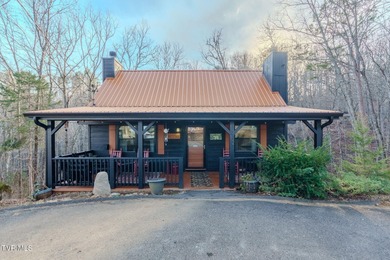 (private lake, pond, creek) Home For Sale in Sevierville Tennessee