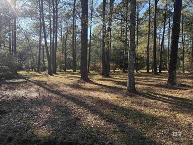 Dog River Acreage For Sale in Mobile Alabama