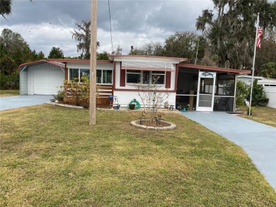 Lake Home For Sale in Lake Panasoffkee, Florida