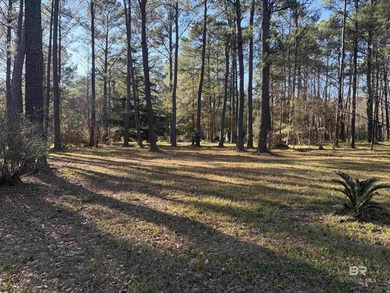 Bring your house plans!!! 3.4 +/- acres of prime residential - photo 2