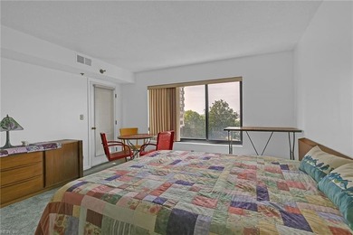 Waterfront maintenance-free living at its finest! This - photo 15