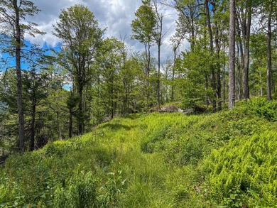 91 acres of wooded mountainside with trails winding all the way - photo 22