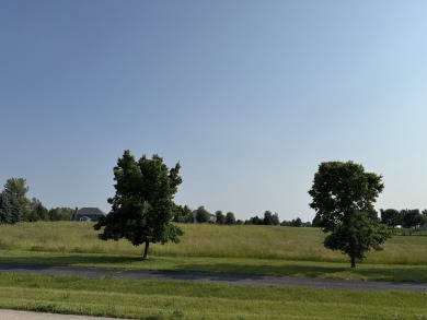 Lake Lot For Sale in Saint Charles, Illinois
