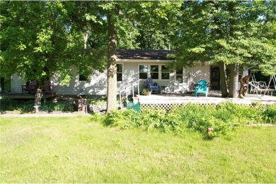 Lake Home For Sale in Otto Twp, Minnesota