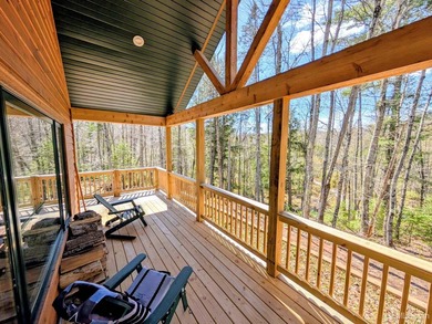 Newly built cabin in the woods....with its own pond. Sitting on - photo 22