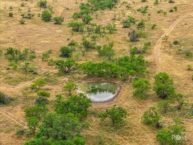 Discover the perfect blend of natural beauty, abundant wildlife