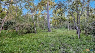 Discover your own piece of Texas paradise on this extraordinary - photo 10