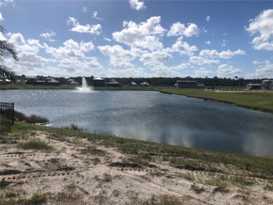 Lake Lot For Sale in Palm Coast, Florida