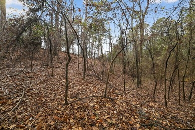 Unrestricted East Texas acreage where your imagination gets to - photo 11
