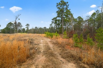 Unrestricted East Texas acreage where your imagination gets to - photo 12