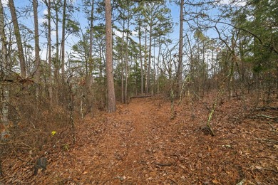 Unrestricted East Texas acreage where your imagination gets to - photo 13