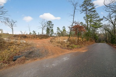 Unrestricted East Texas acreage where your imagination gets to - photo 14