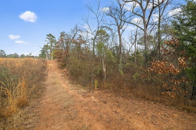 Unrestricted East Texas acreage where your imagination gets to - photo 15