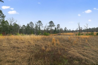 Unrestricted East Texas acreage where your imagination gets to - photo 16