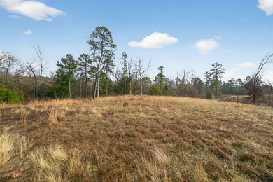 Unrestricted East Texas acreage where your imagination gets to - photo 17