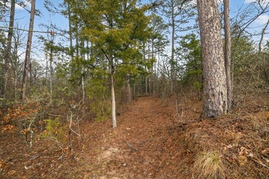 Unrestricted East Texas acreage where your imagination gets to - photo 18