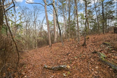 Unrestricted East Texas acreage where your imagination gets to - photo 19