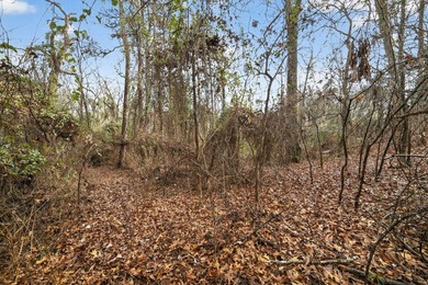Unrestricted East Texas acreage where your imagination gets to - photo 21
