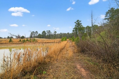 Unrestricted East Texas acreage where your imagination gets to - photo 22