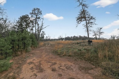 Unrestricted East Texas acreage where your imagination gets to - photo 23