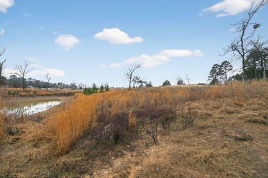 Unrestricted East Texas acreage where your imagination gets to - photo 24