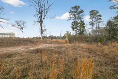Unrestricted East Texas acreage where your imagination gets to - photo 25
