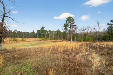 Unrestricted East Texas acreage where your imagination gets to - photo 26