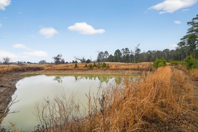 Unrestricted East Texas acreage where your imagination gets to - photo 27