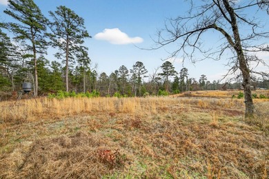 Unrestricted East Texas acreage where your imagination gets to - photo 28