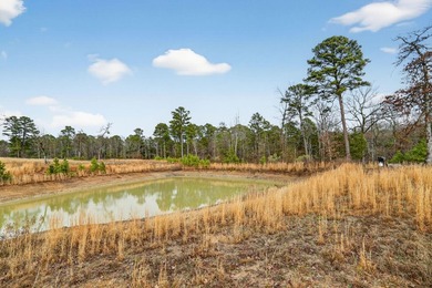 Unrestricted East Texas acreage where your imagination gets to - photo 30