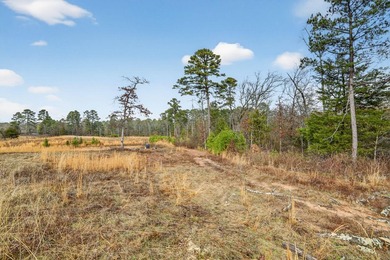 Unrestricted East Texas acreage where your imagination gets to - photo 31