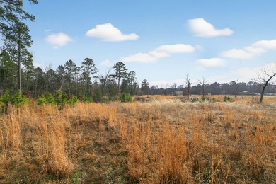 Unrestricted East Texas acreage where your imagination gets to - photo 33