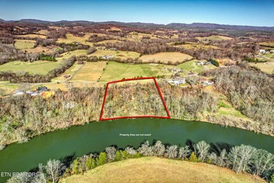 Stunning 3.3-acre riverfront property nestled in a peaceful - photo 7