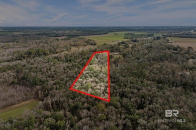 Discover the possibilities with this 5.8+/- acre parcel located - photo 3