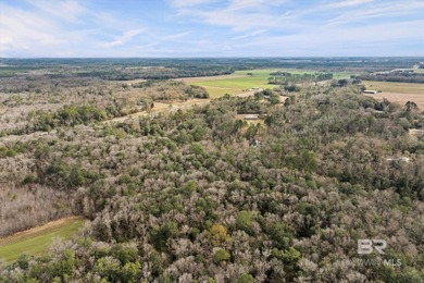 Discover the possibilities with this 5.8+/- acre parcel located - photo 4