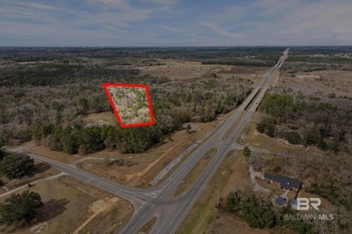Discover the possibilities with this 5.8+/- acre parcel located - photo 5