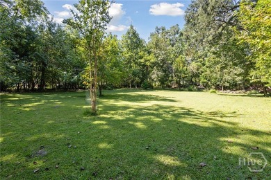 91 ACRES ZONED R-I-N LOCATED DIRECTLY ACROSS FROM THE GEORGIA - photo 11