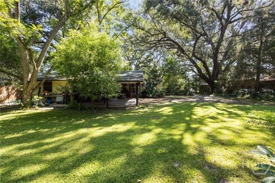 91 ACRES ZONED R-I-N LOCATED DIRECTLY ACROSS FROM THE GEORGIA - photo 13