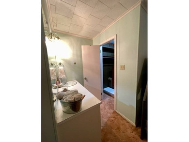 3BR/2BA home in a low-traffic area of beautiful Lake Bruin with - photo 16