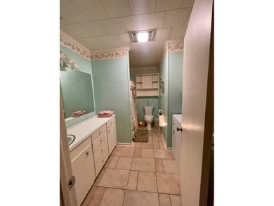 3BR/2BA home in a low-traffic area of beautiful Lake Bruin with - photo 18