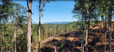 Lake Lot For Sale in Ellijay, Georgia