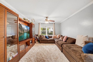 Welcome to 485 Webster Avenue, Unit #A7, in New Rochelle-a - photo 6