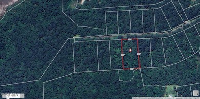 1.72 acre building lot with spectacular specimen trees, high & - photo 5