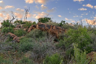 STRINGER RANCH 1,104 ACRES PALO PINTO COUNTY, TEXAS Stringer - photo 8